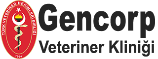 Gencorp Veteriner Kliniği